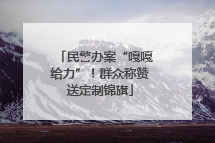 民警办案“嘎嘎给力”！群众称赞送定制锦旗