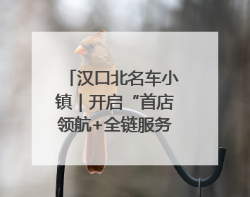汉口北名车小镇｜开启“首店领航+全链服务”进阶方程式