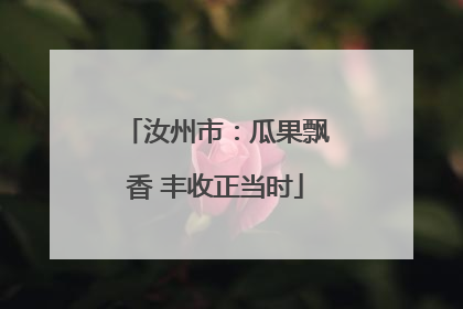 汝州市：瓜果飘香 丰收正当时