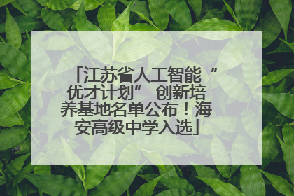 江苏省人工智能“优才计划” 创新培养基地名单公布！海安高级中学入选