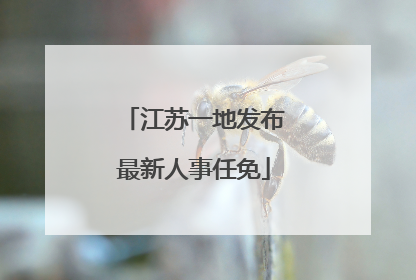 江苏一地发布最新人事任免