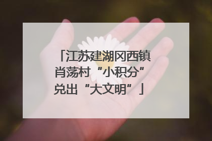 江苏建湖冈西镇肖荡村“小积分”兑出“大文明”