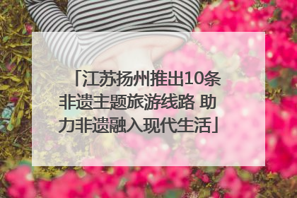 江苏扬州推出10条非遗主题旅游线路 助力非遗融入现代生活
