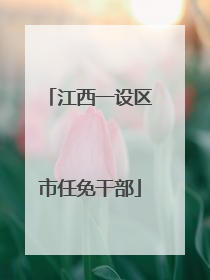 江西一设区市任免干部