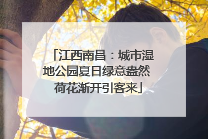 江西南昌：城市湿地公园夏日绿意盎然 荷花渐开引客来