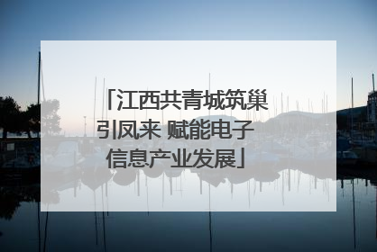 江西共青城筑巢引凤来 赋能电子信息产业发展