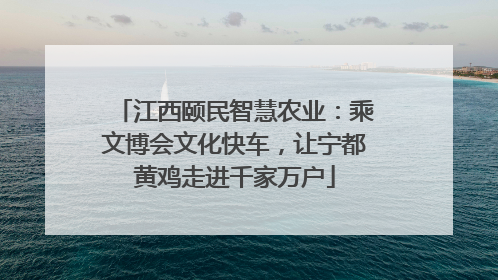 江西颐民智慧农业：乘文博会文化快车，让宁都黄鸡走进千家万户