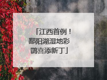 江西首例！鄱阳湖湿地彩鹮喜添新丁