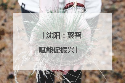 沈阳：聚智赋能促振兴