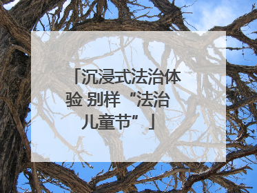沉浸式法治体验 别样“法治儿童节”