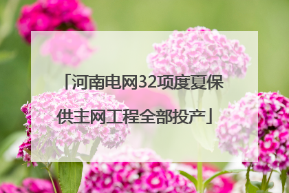 河南电网32项度夏保供主网工程全部投产