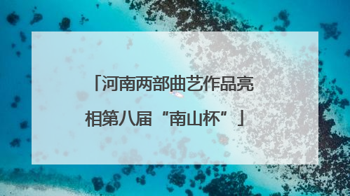 河南两部曲艺作品亮相第八届“南山杯”