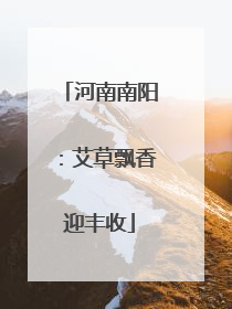 河南南阳：艾草飘香迎丰收