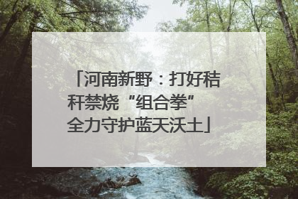 河南新野：打好秸秆禁烧“组合拳” 全力守护蓝天沃土