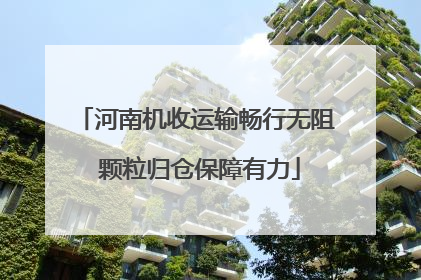 河南机收运输畅行无阻 颗粒归仓保障有力