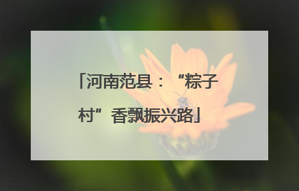 河南范县：“粽子村”香飘振兴路