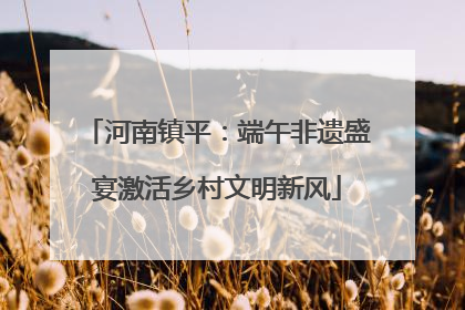 河南镇平：端午非遗盛宴激活乡村文明新风