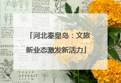 河北秦皇岛：文旅新业态激发新活力