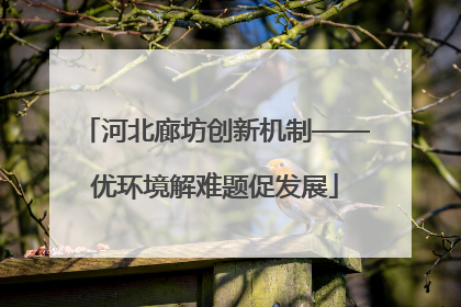 河北廊坊创新机制——优环境解难题促发展