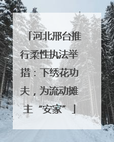 河北邢台推行柔性执法举措：下绣花功夫，为流动摊主“安家”