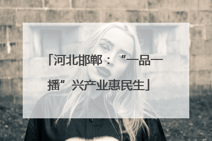 河北邯郸：“一品一播”兴产业惠民生