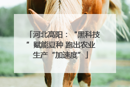 河北高阳：“黑科技”赋能夏种 跑出农业生产“加速度”