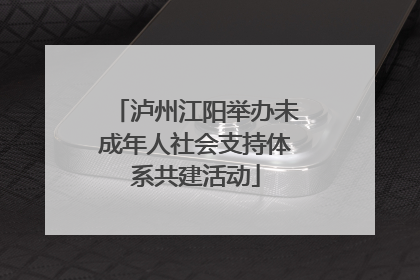 泸州江阳举办未成年人社会支持体系共建活动