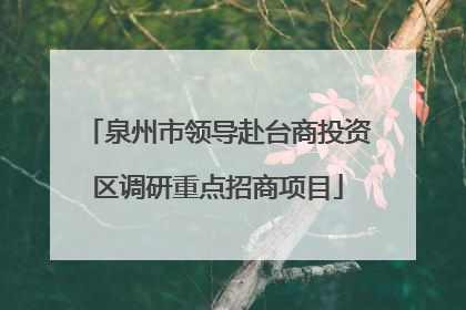 泉州市领导赴台商投资区调研重点招商项目