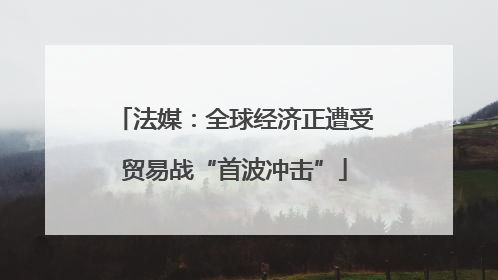 法媒：全球经济正遭受贸易战“首波冲击”