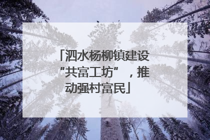 泗水杨柳镇建设“共富工坊”，推动强村富民