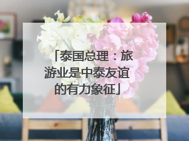 泰国总理：旅游业是中泰友谊的有力象征
