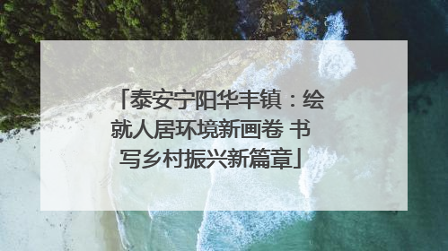 泰安宁阳华丰镇：绘就人居环境新画卷 书写乡村振兴新篇章