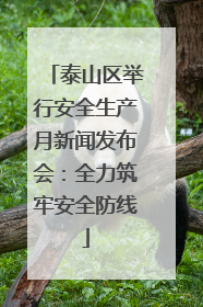 泰山区举行安全生产月新闻发布会：全力筑牢安全防线