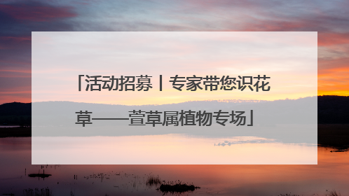 活动招募丨专家带您识花草——萱草属植物专场