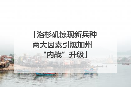 洛杉矶惊现新兵种 两大因素引爆加州“内战”升级