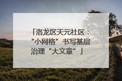 洛龙区天元社区：“小网格”书写基层治理“大文章”