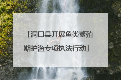 洞口县开展鱼类繁殖期护渔专项执法行动