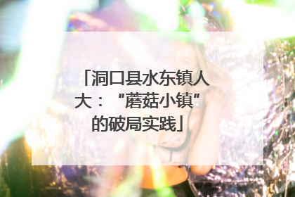 洞口县水东镇人大：“蘑菇小镇”的破局实践
