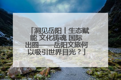 洞见岳阳丨生态赋能 文化铸魂 国际出圈——岳阳文旅何以吸引世界目光？