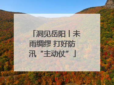 洞见岳阳丨未雨绸缪 打好防汛“主动仗”