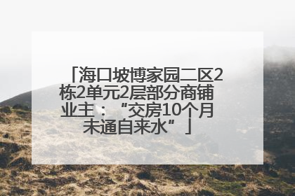 海口坡博家园二区2栋2单元2层部分商铺业主：“交房10个月未通自来水”