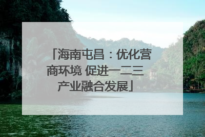 海南屯昌：优化营商环境 促进一二三产业融合发展