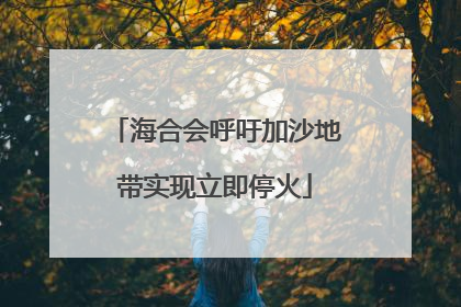 海合会呼吁加沙地带实现立即停火