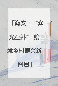 海安：“渔光互补” 绘就乡村振兴新图景