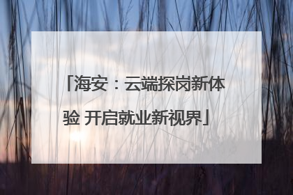海安：云端探岗新体验 开启就业新视界