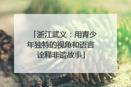 浙江武义：用青少年独特的视角和语言诠释非遗故事