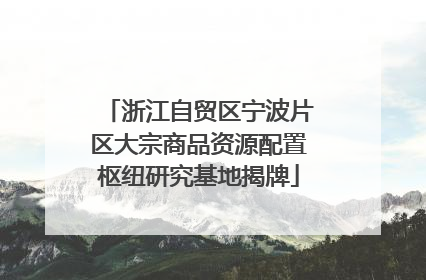 浙江自贸区宁波片区大宗商品资源配置枢纽研究基地揭牌