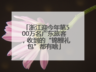浙江迎今年第500万名广东旅客，收到的“锦鲤礼包”都有啥
