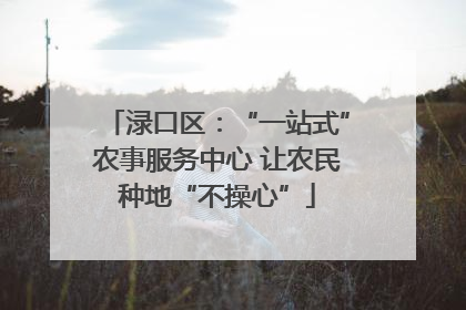 渌口区：“一站式”农事服务中心 让农民种地“不操心”