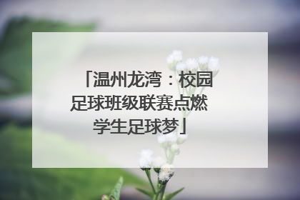 温州龙湾：校园足球班级联赛点燃学生足球梦